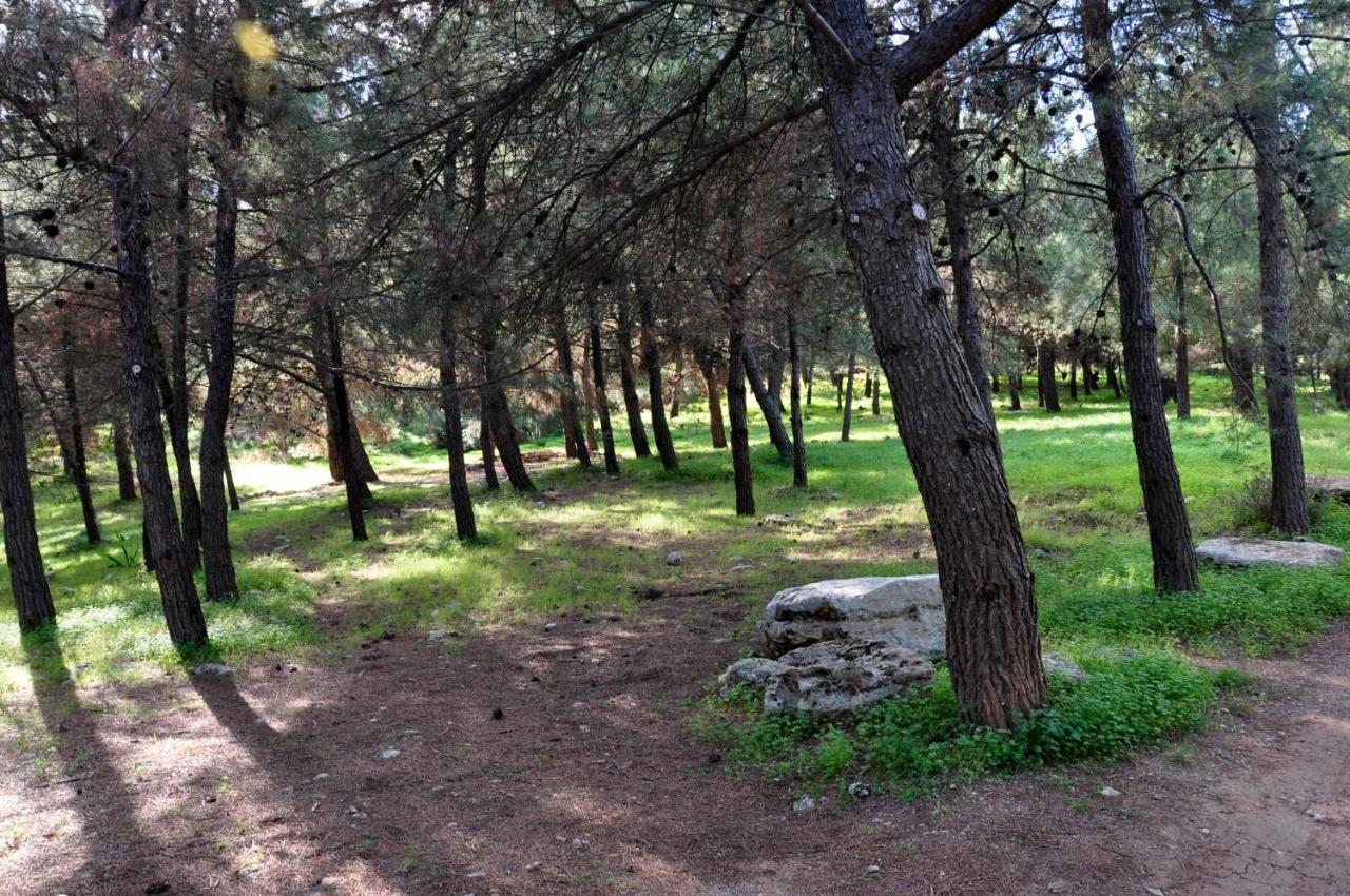 Aletraki -Off-Grid Retreat Above Heraklion, Peaceful Views Archanes Bagian luar foto