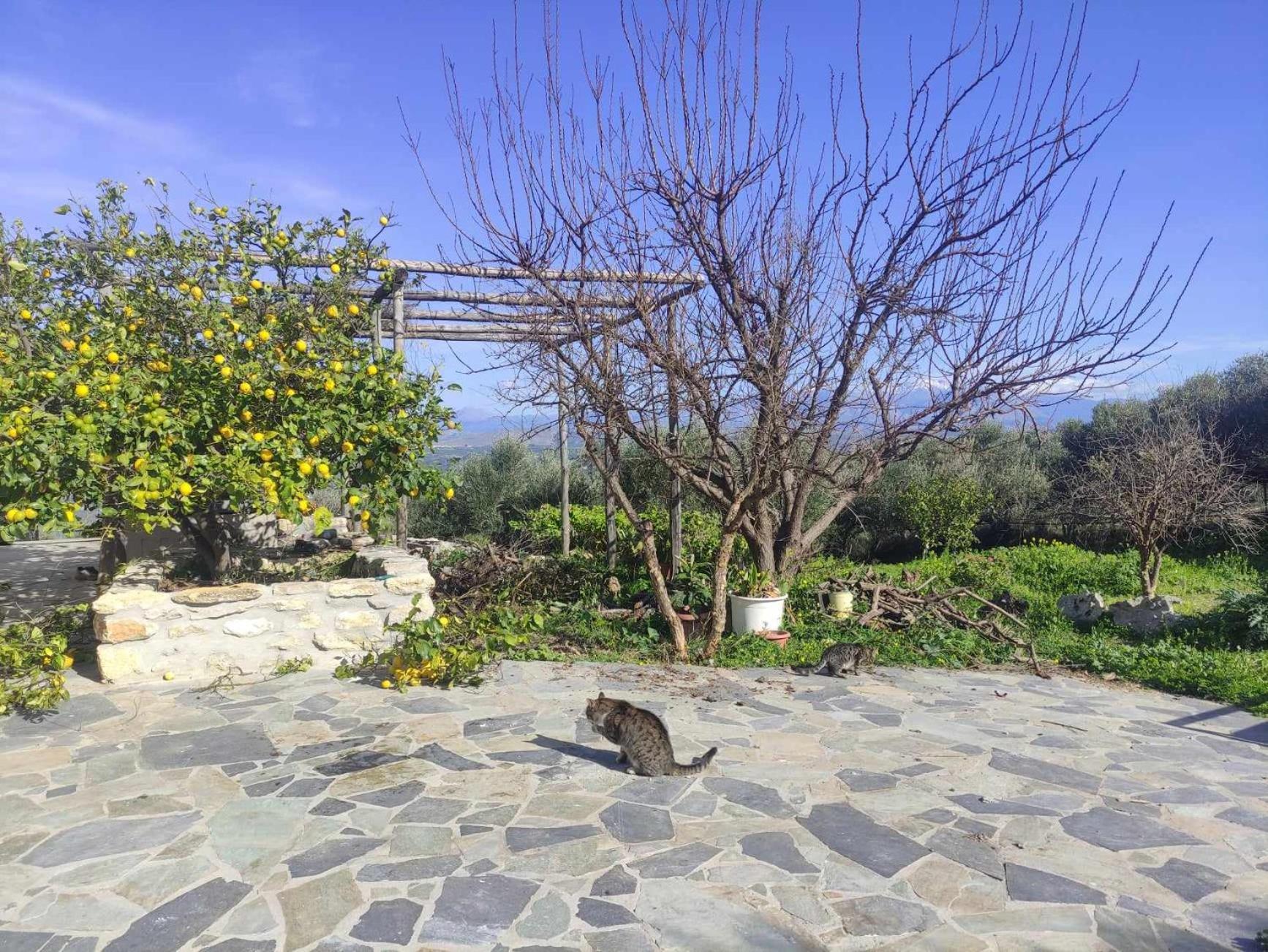 Aletraki -Off-Grid Retreat Above Heraklion, Peaceful Views Archanes Bagian luar foto
